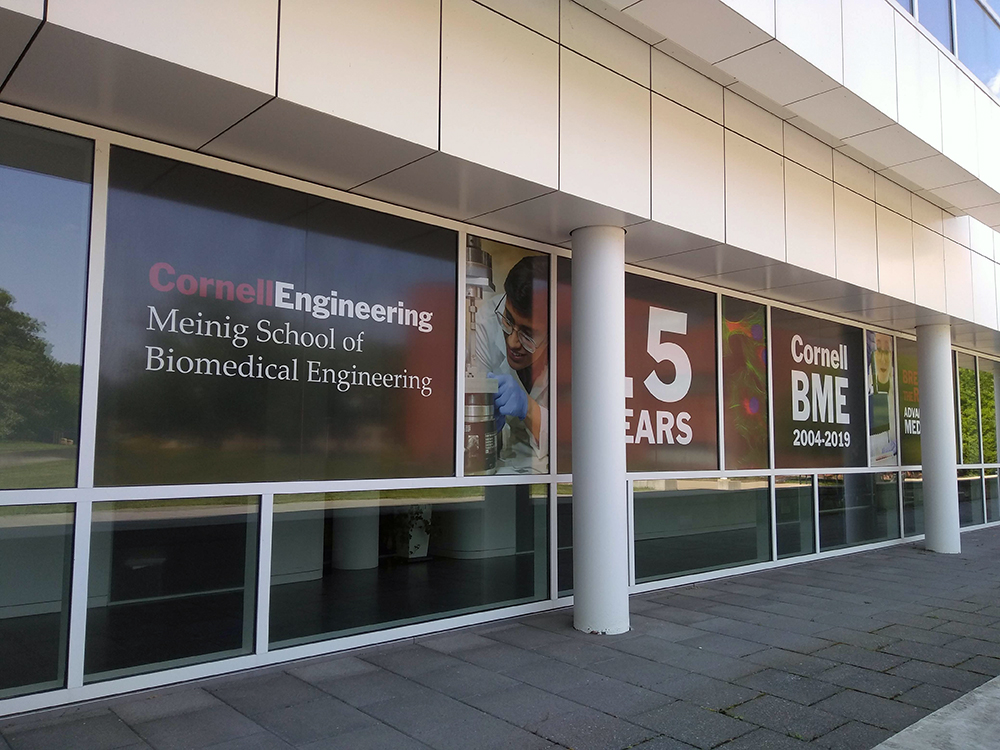 Nancy E. and Peter C. Meinig School of Biomedical Engineering